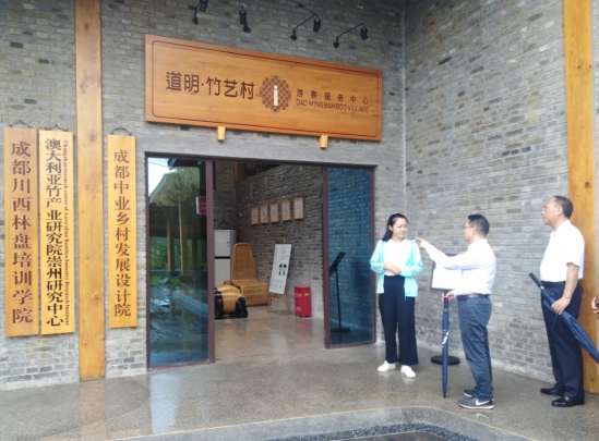 ¼¯ÍÅÏòµ¼¸°³çÖÝÊеÀÃ÷Õò¿¼²ì½»Á÷