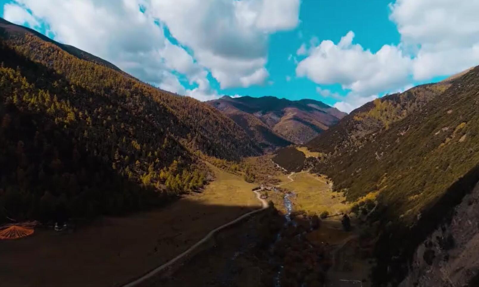 ���������ŷ�ƶ����Ƭ