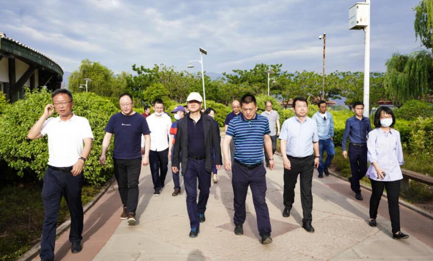 ���껨ʢ�� ��������Լ���������������Ÿ���ɽ���缯����������Ŀ����Ч��