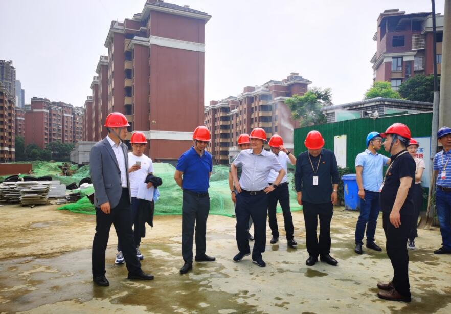 Á¢¼´²©¼¯ÍÅı»®ÌáÉýÄêרÔðÊÂÇé×é ¿ªÕ¹ÏµÁÐÏîÄ¿¶½µ¼