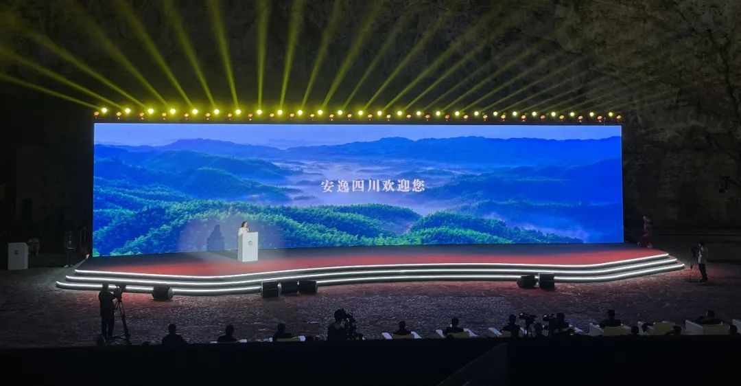 �Ĵ����������ž�������2023����������ɫ�Ļ���ҵ�����⽻���˶� 